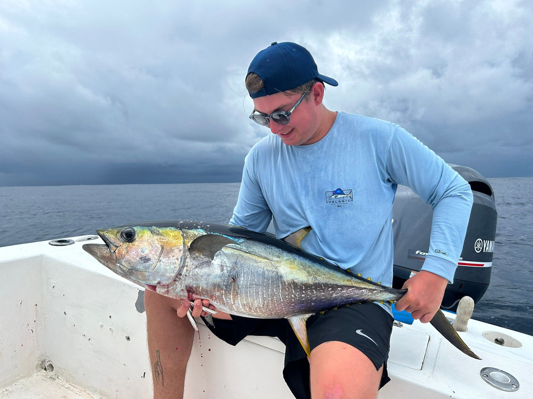 Good Catch Costa Rica-德雷克湾必去景点