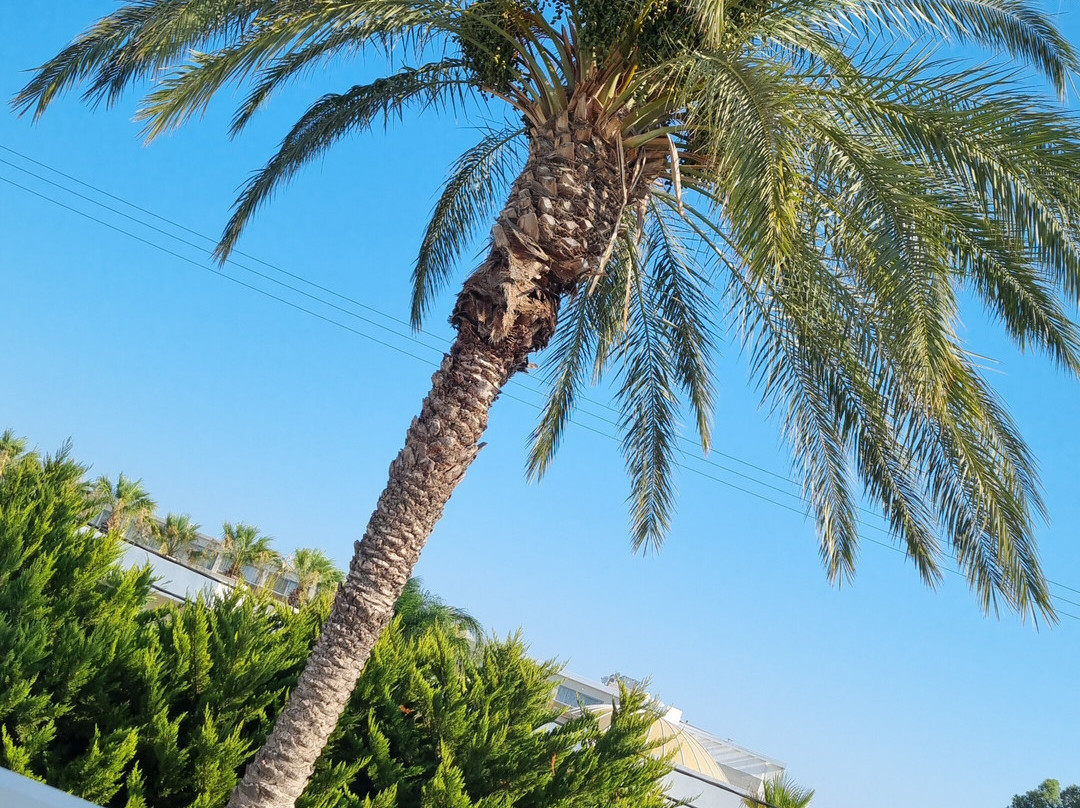 Valsami Hotel Apartments主图