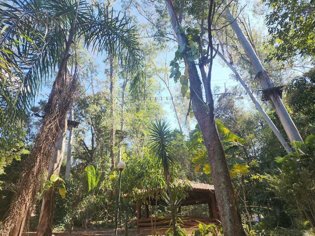 Dr. Otavio de Moura Andrade Park-Aguas de Sao Pedro必去景点