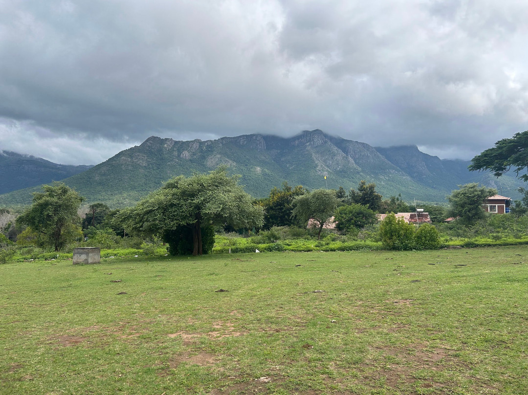Wild Pastures By Nature Resorts And Stays