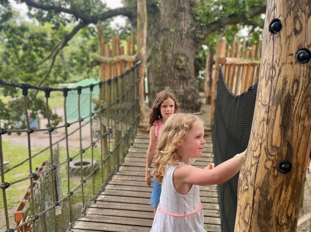 Wroxham Barns Family Camping & Glamping