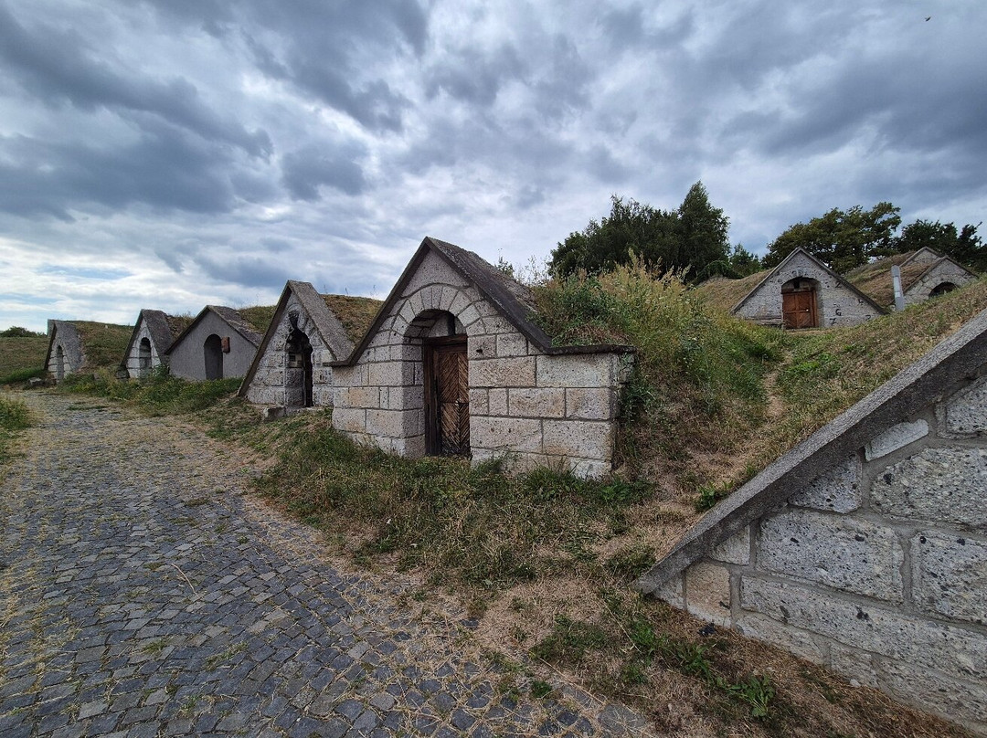 Gotz Winery景点图片