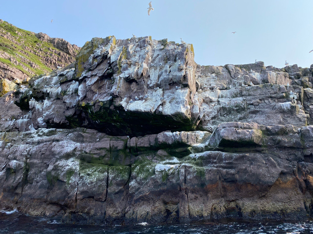 Ocean Quest Adventure Resort景点图片