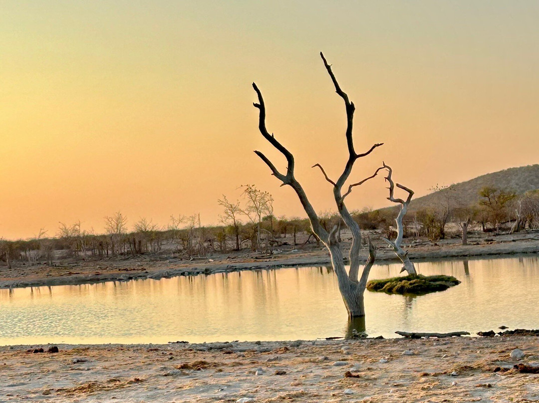 Safarihoek Lodge主图