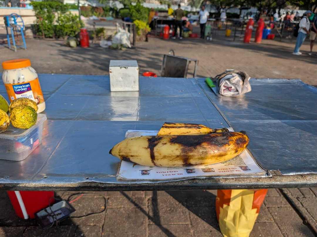 Wise Tour Guide-石头城必去景点