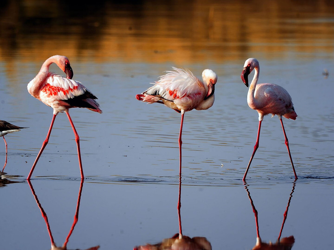 Silsila Tours & Safaris-Majengo必去景点