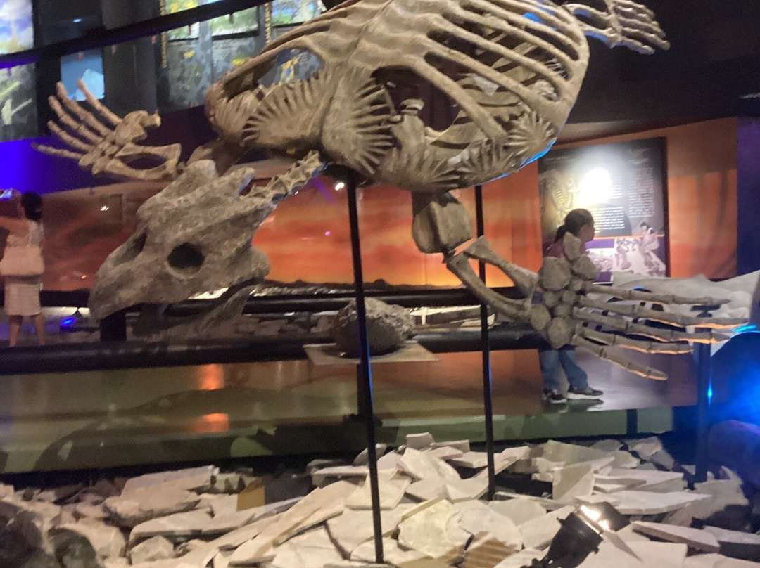 Museo del Desierto-萨尔蒂必去景点