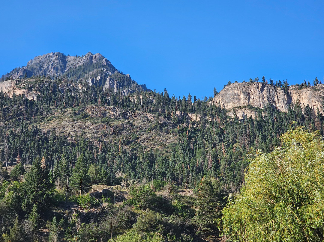 Main Street Inn主图