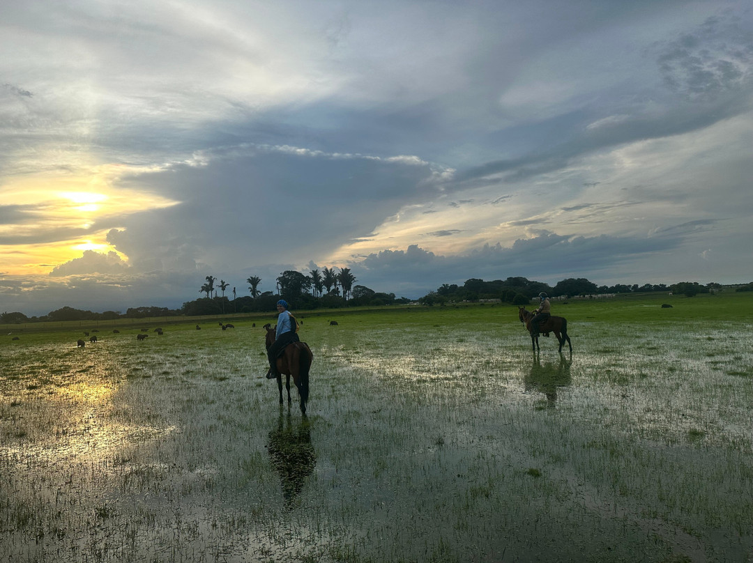 El Encanto de Guanapalo Reserva Natural景点图片