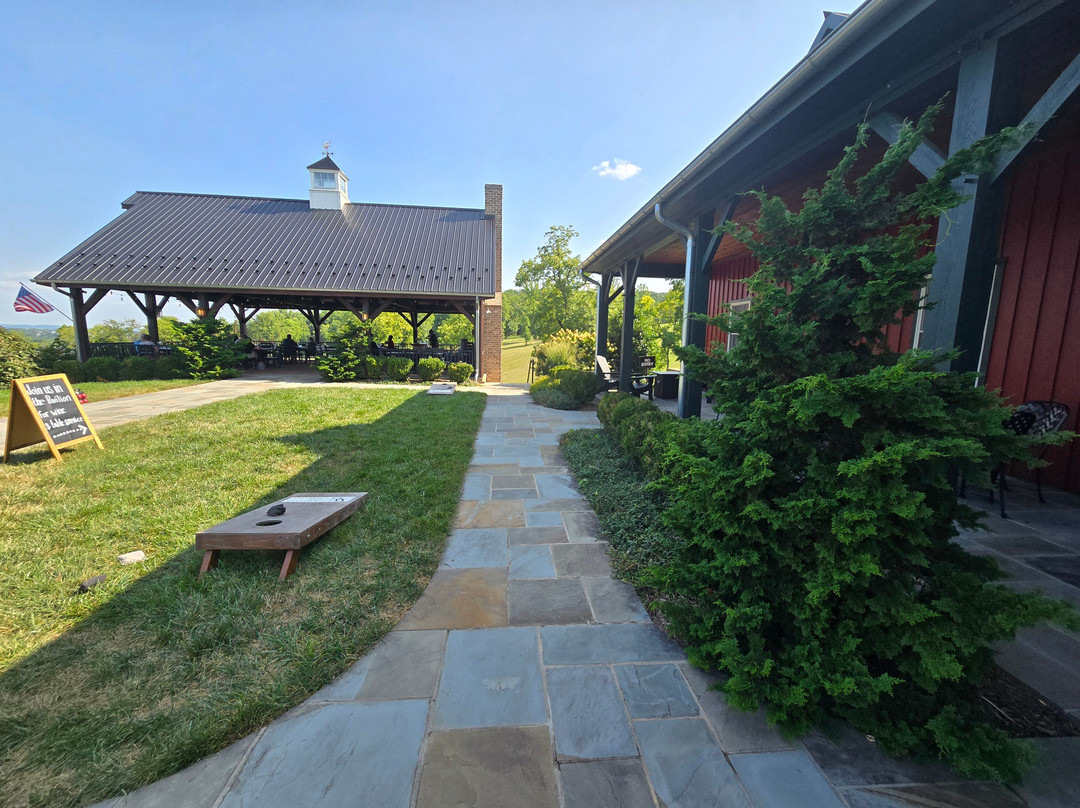 Williams Gap Vineyard景点图片