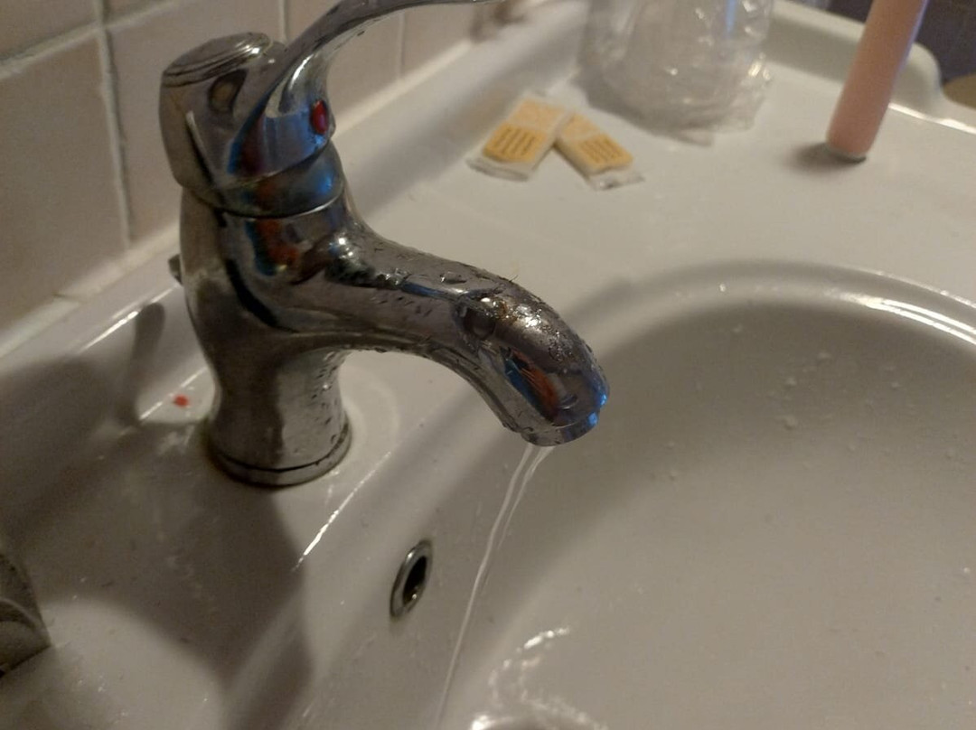 B&B Macchia d'Olmo主图