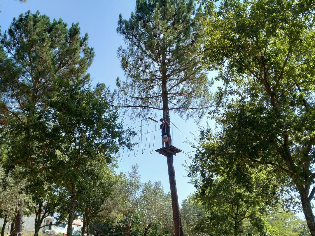 Arborismo ExperTreePARK景点图片