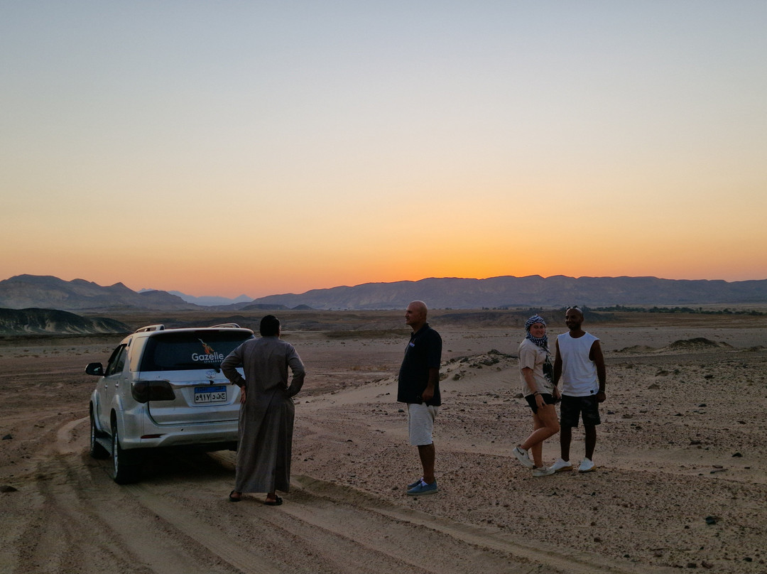 Gazelle Crossover Safari-艾高娜必去景点