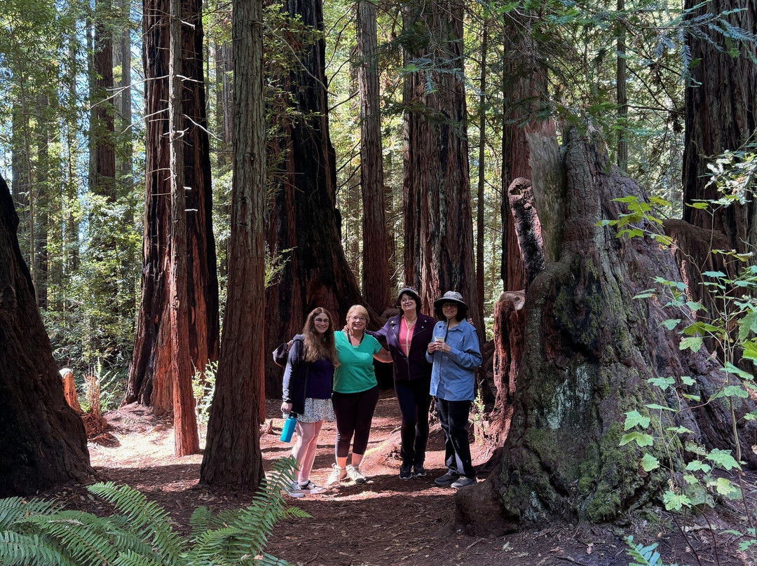 Inn At Occidental主图