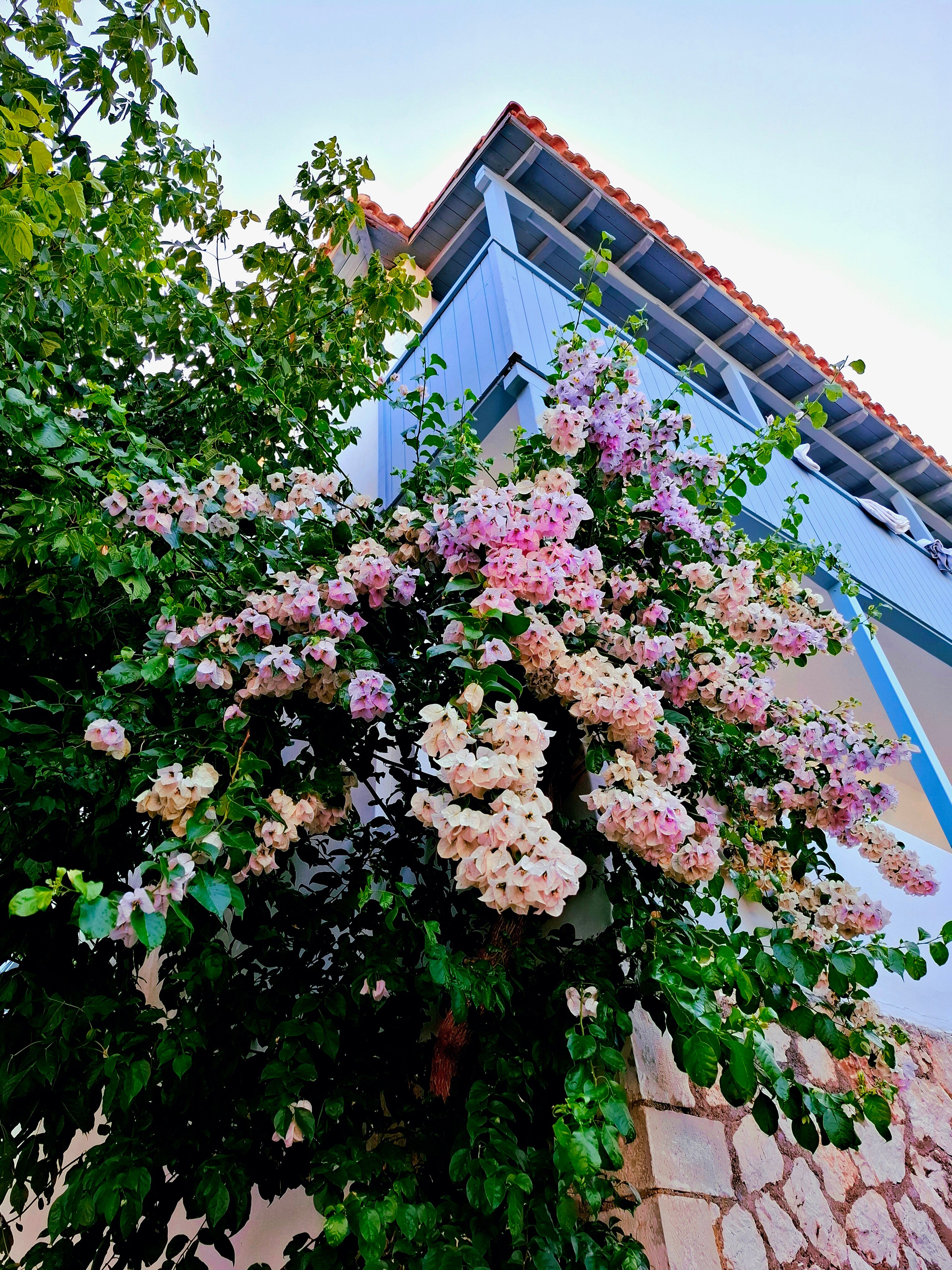 Hotel Agios Nikitas-官方
