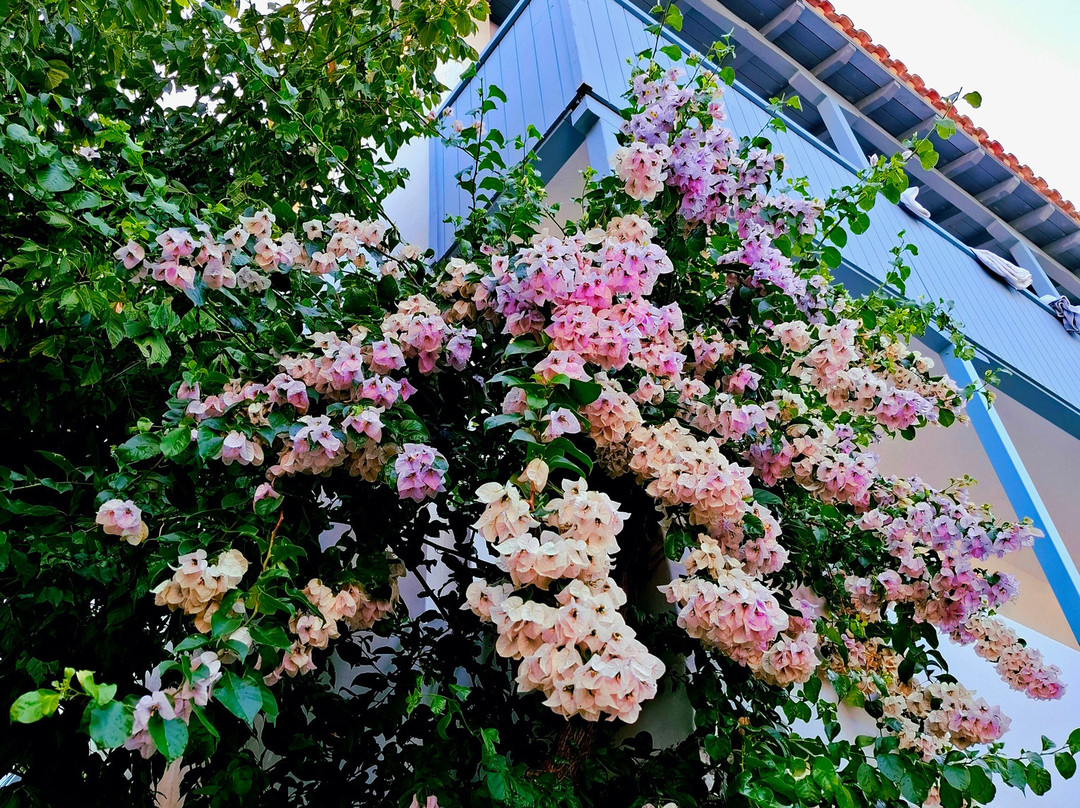 Hotel Agios Nikitas主图