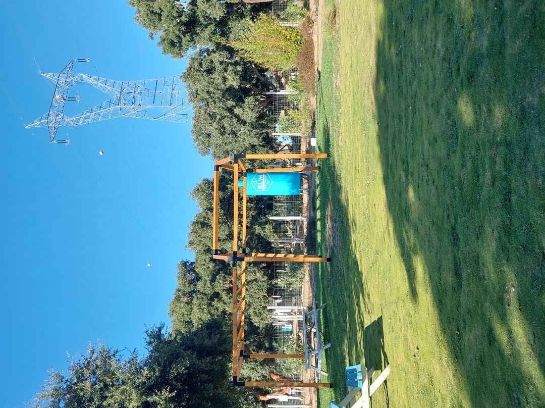 Black Pig Gin-Santiago do Cacem必去景点