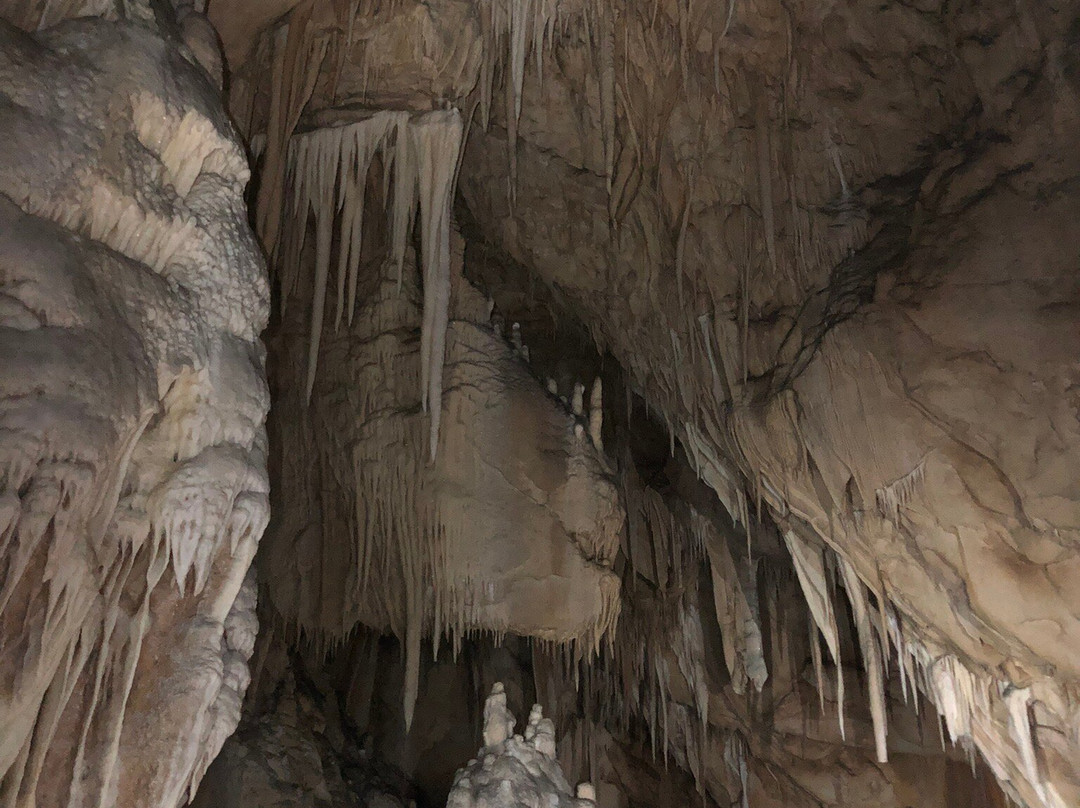 Grotte di Pietrasecca景点图片