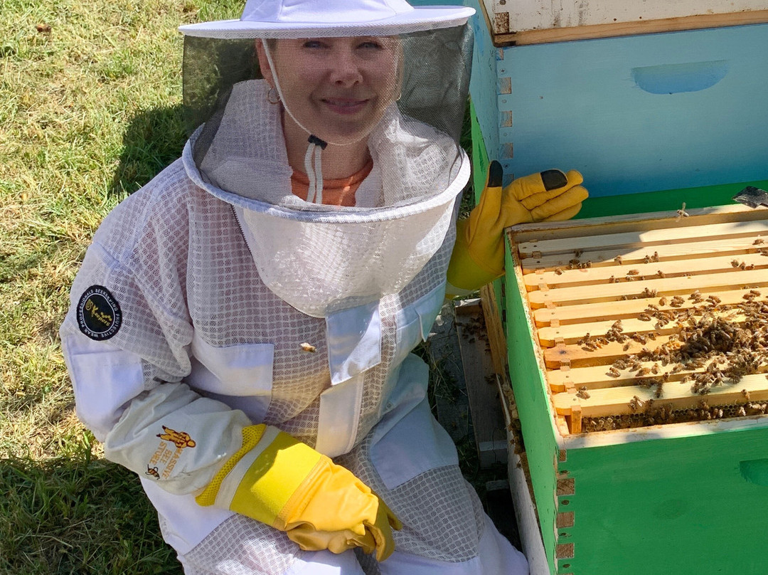 Dry Creek Beekeeping景点图片