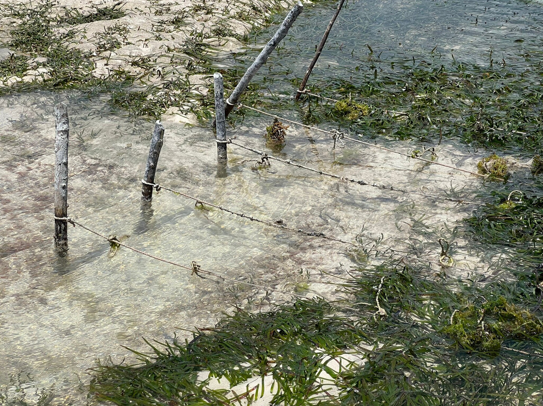 Sensations Eco-Chic Hotel主图