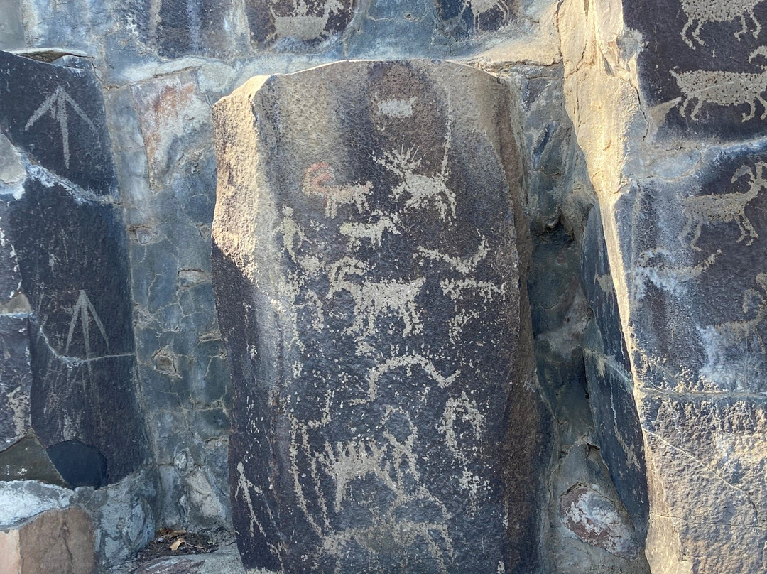 Ginkgo Petrified Forest State Park景点图片
