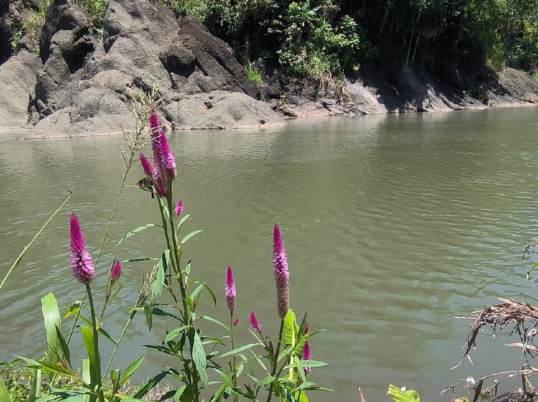 Hacienda Monte Claro主图