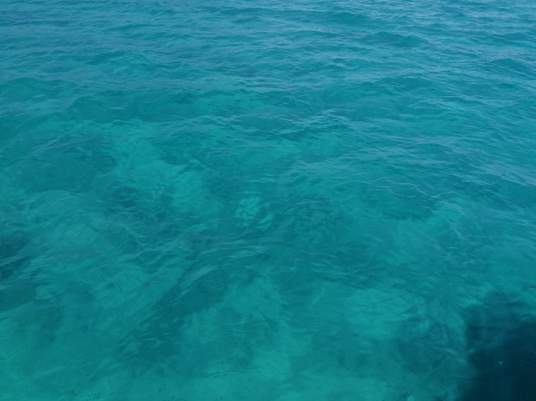 Asinara Catamaran Charter-撒丁岛必去景点