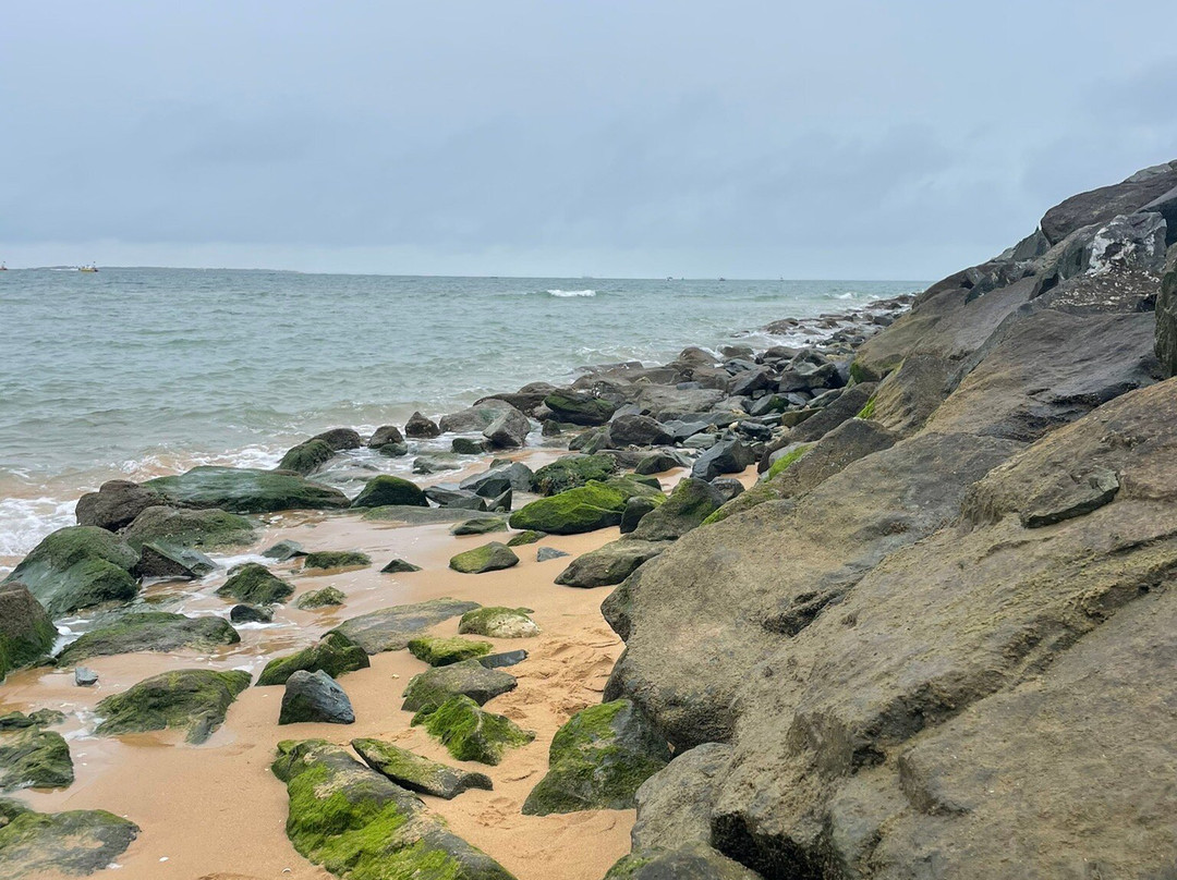 Plage De Boyardville景点图片