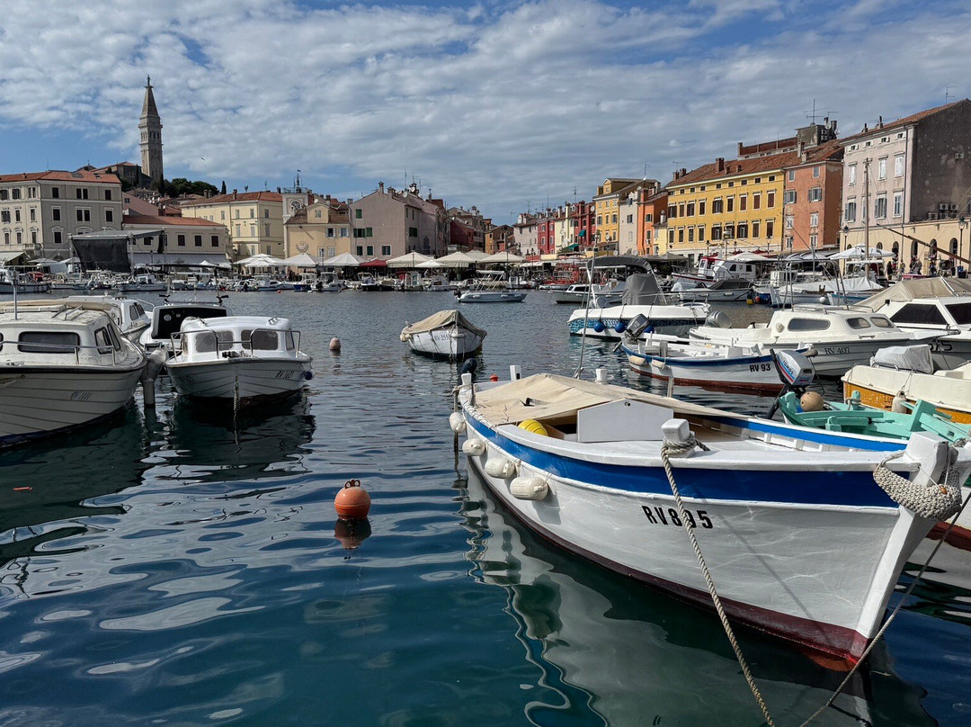 Port of Rovinj-罗维尼必去景点