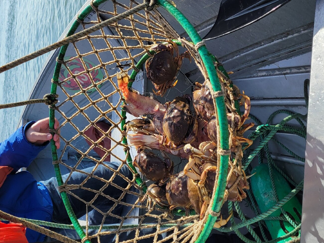 Kelly's Brighton Marina-Rockaway Beach必去景点