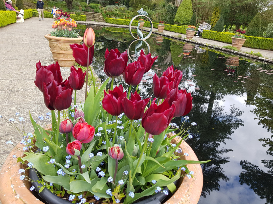 Borde Hill Garden-Haywards Heath必去景点