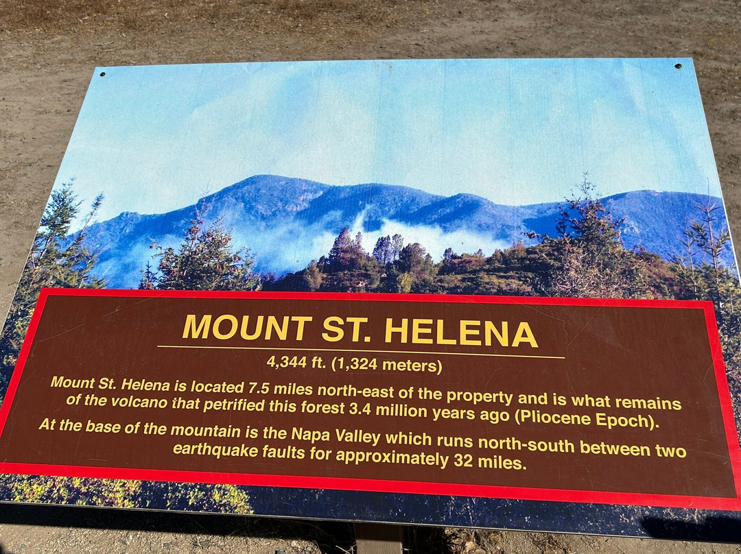 Petrified Forest-卡利斯托加必去景点