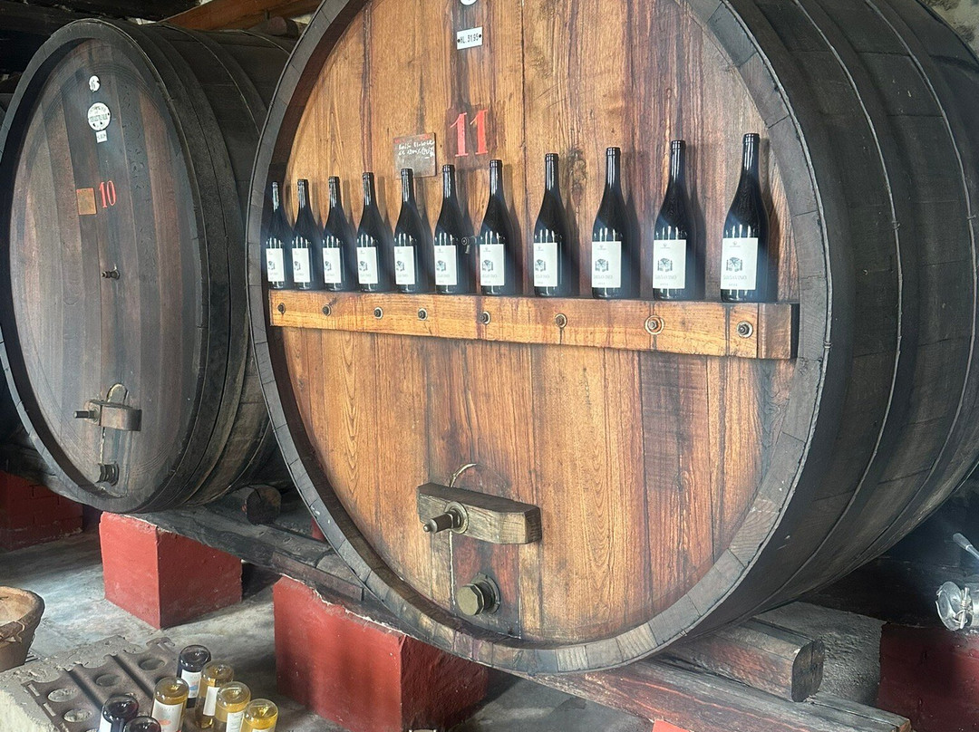 Fattoria Del Piccione景点图片