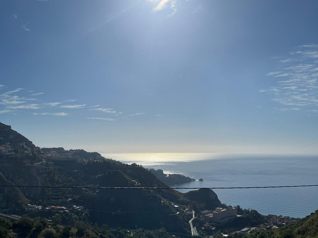 The Lemon Tree主图