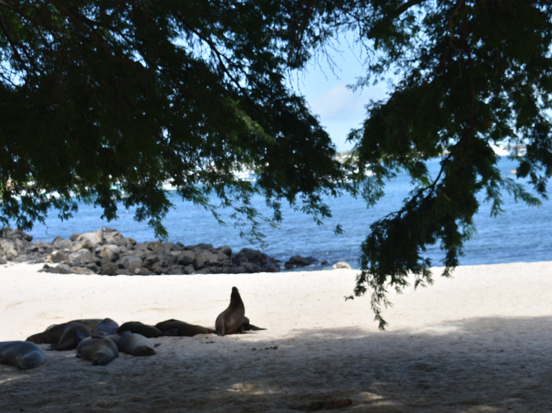 The Last Paradise-Pinzon必去景点