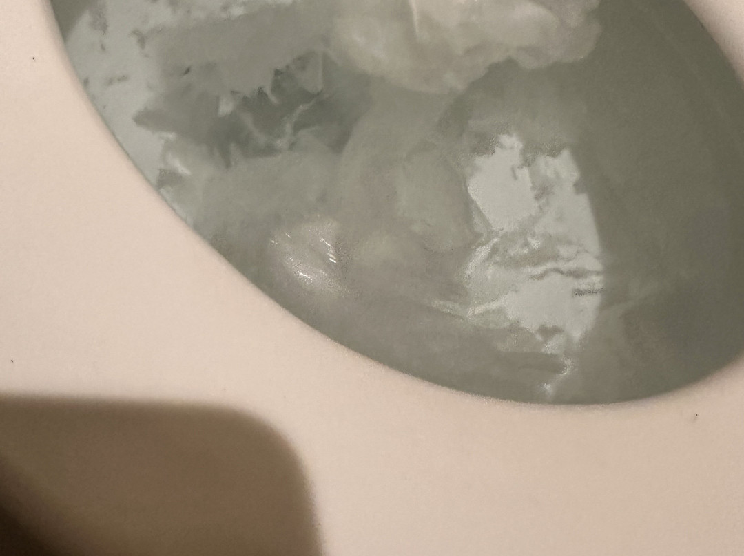 明尼阿波利斯北/弗里德利丽芙茵酒店主图