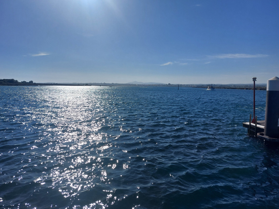 Praia da Terra Estreita景点图片