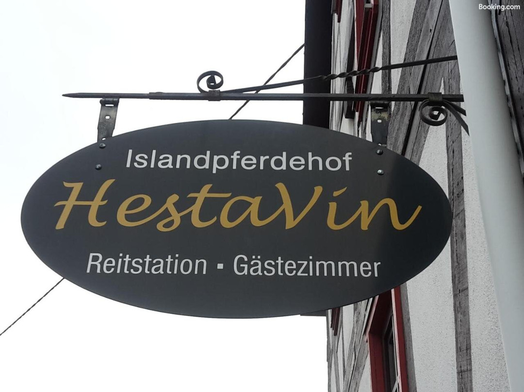 HestaVin主图