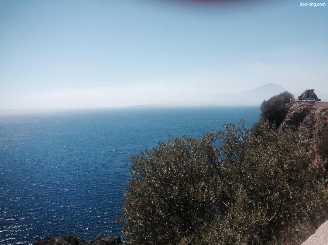 La Bouganville主图