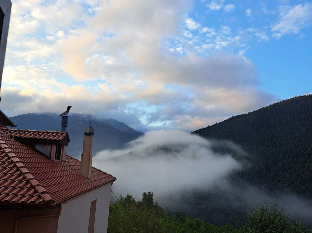 Villa Virginia Guesthouse主图