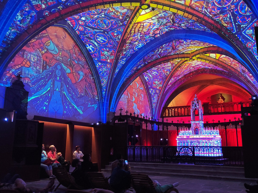Hôtel Des Lumières景点图片