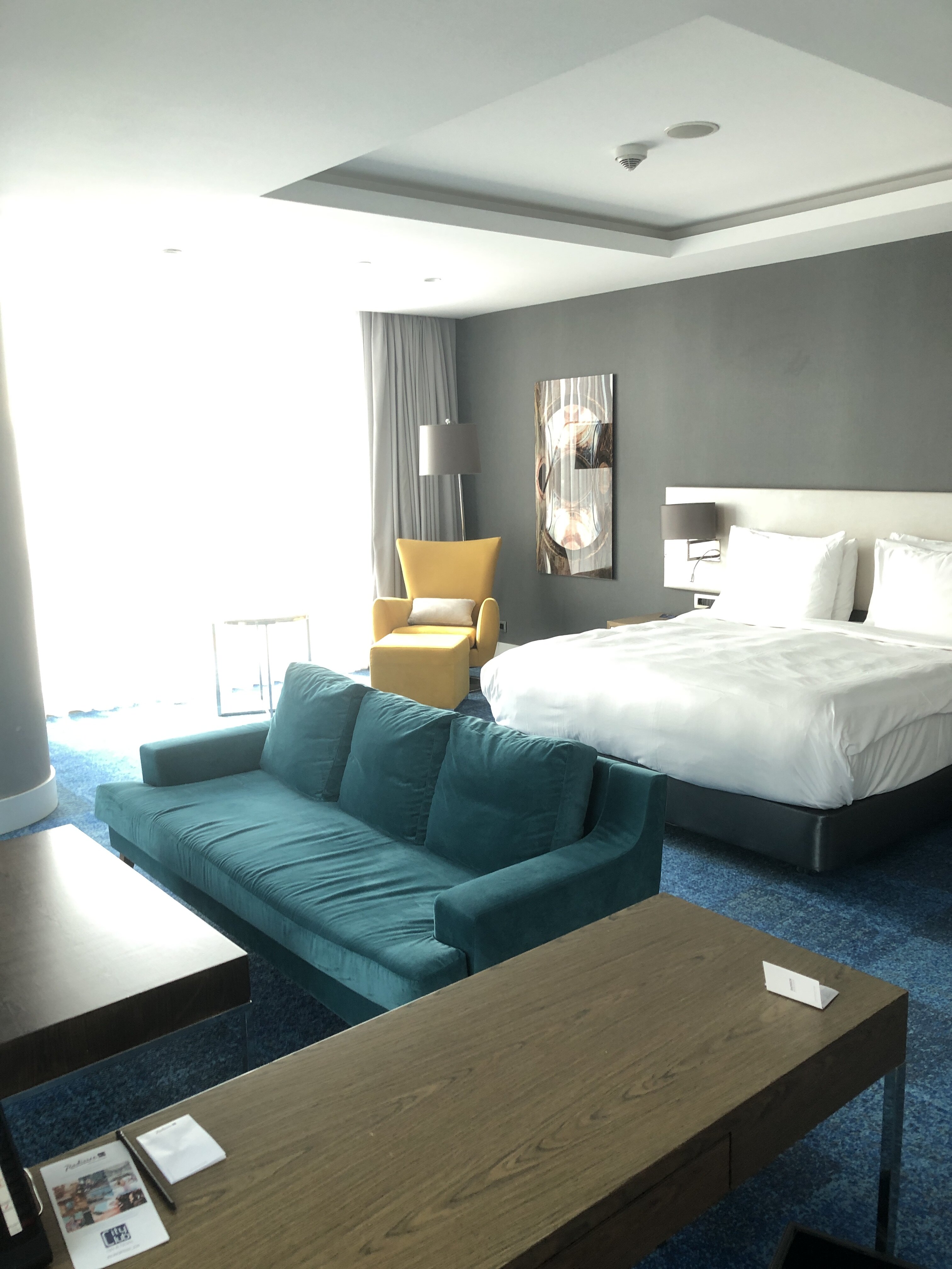 Radisson Blu Hotel, Kayseri-客卧