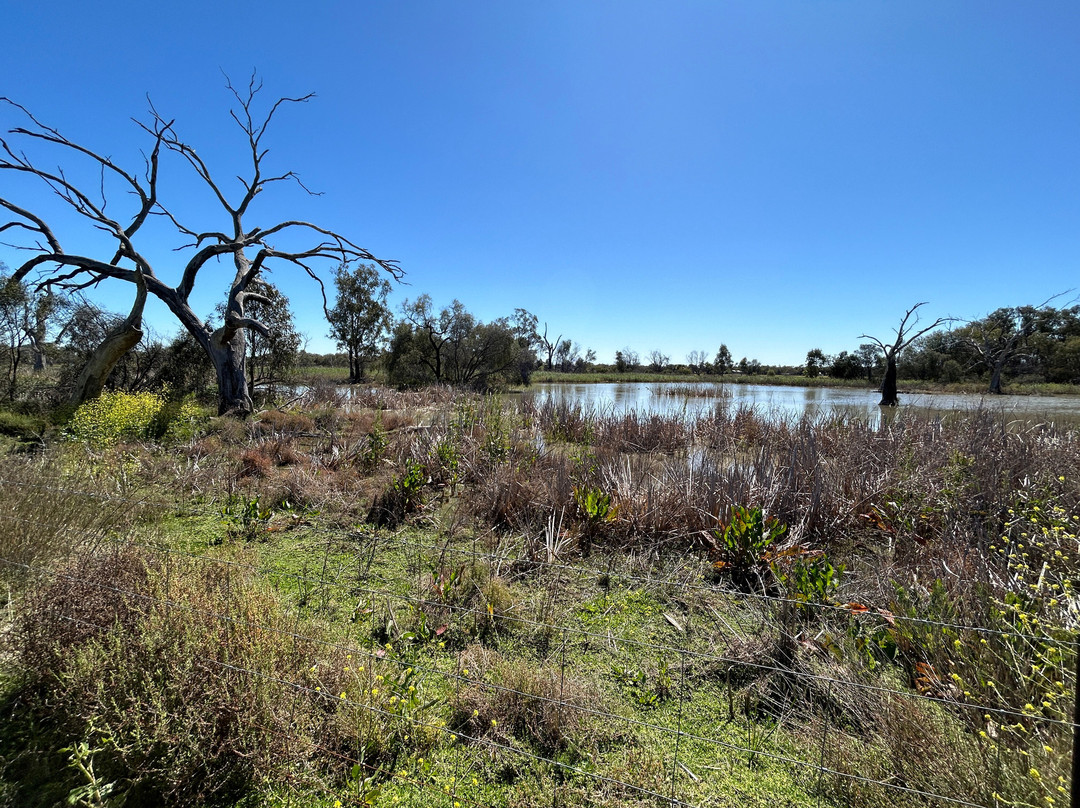 Tiger Bay Wetlands-Warren必去景点
