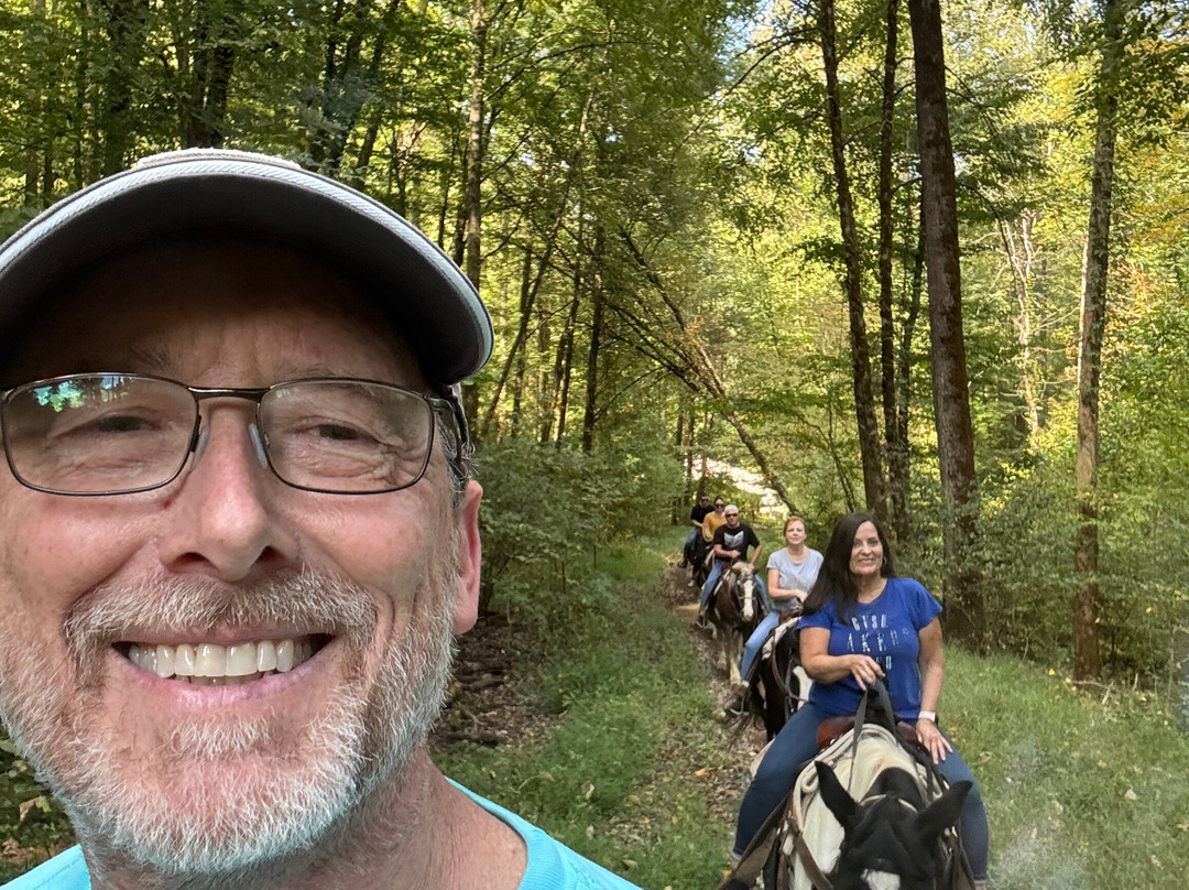 Sugarland Riding Stables-盖林柏格必去景点