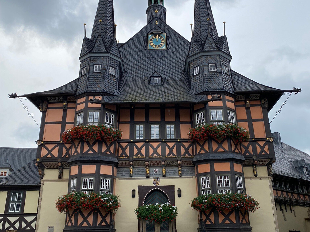 Schlosshotel Stecklenberg主图