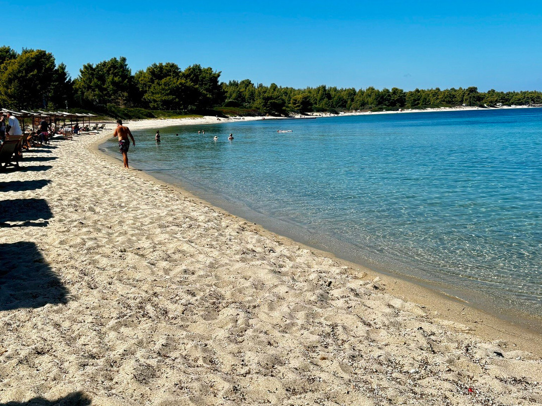Lago Seaside Experience景点图片