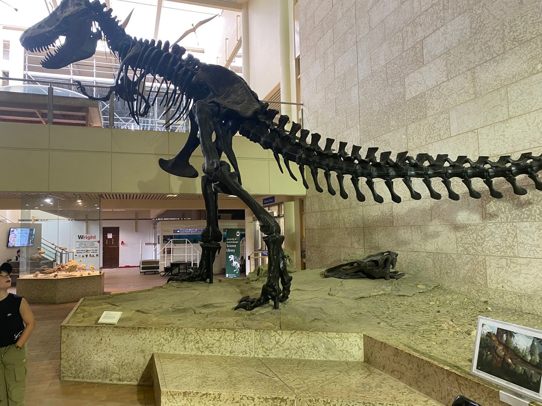 Museum of Natural Sciences-萨斯卡通必去景点