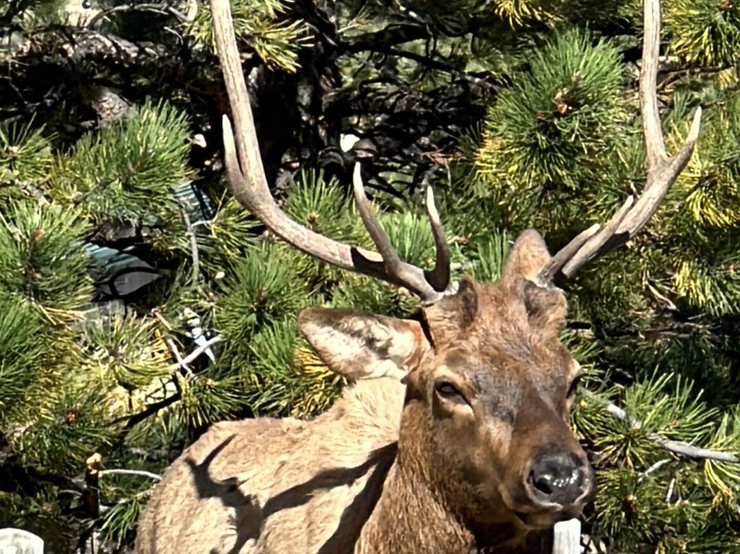 Estes Park Visitor Center-埃斯蒂斯公园必去景点