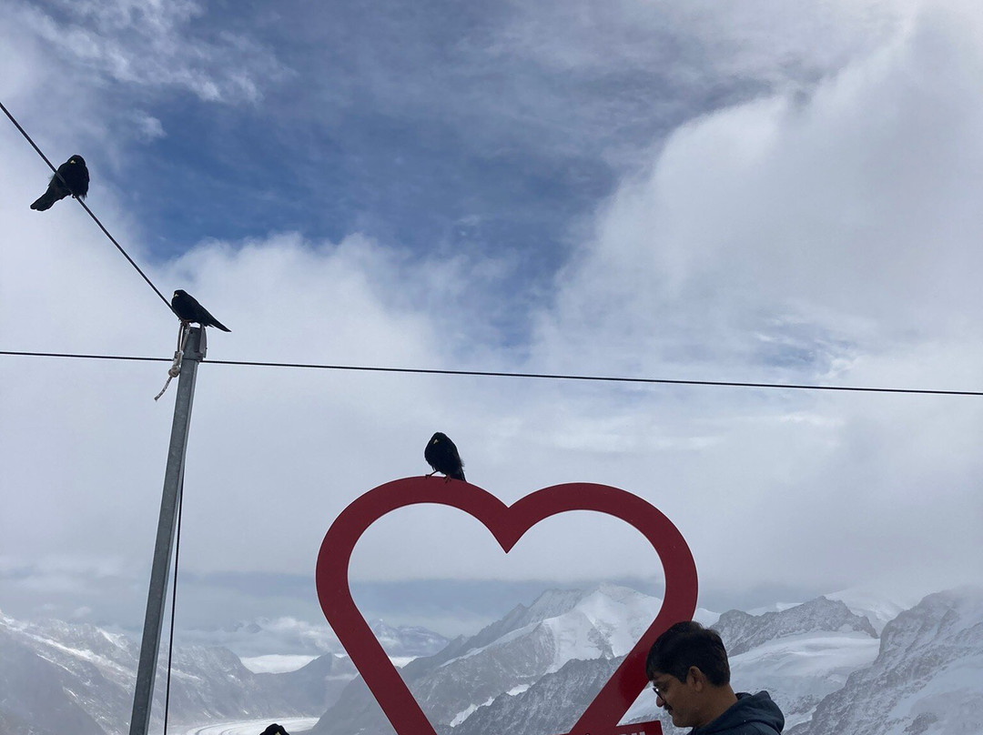 Jungfraujoch Sphinx Observatory-Jungfraujoch必去景点