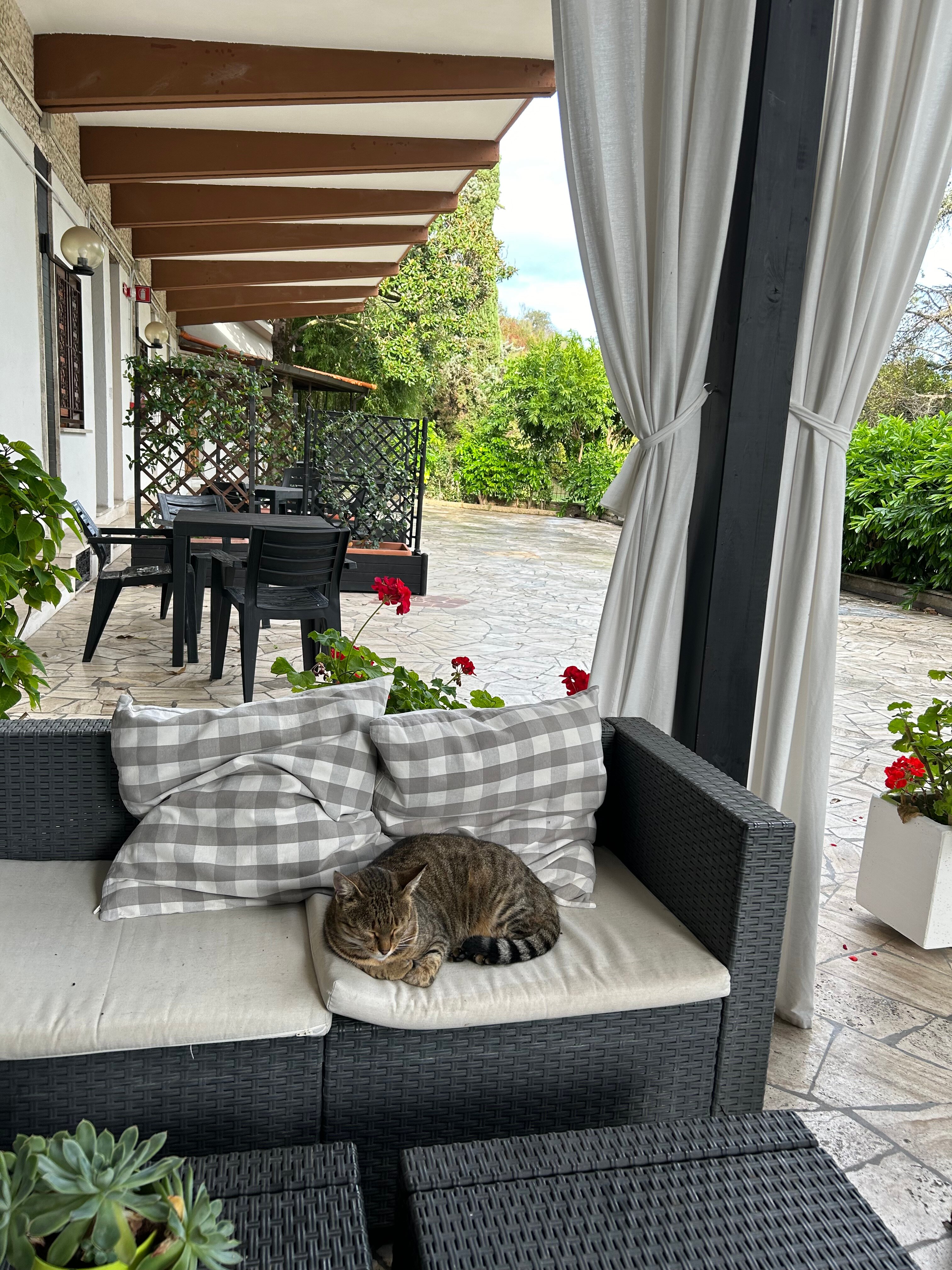 博蒙瑞汽车旅馆-浴室